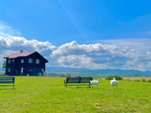 Hokkaido – “nhắm mắt thấy mùa hè”