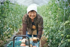 Người Nhật muốn trì hoãn nghỉ hưu cho tới 70 tuổi