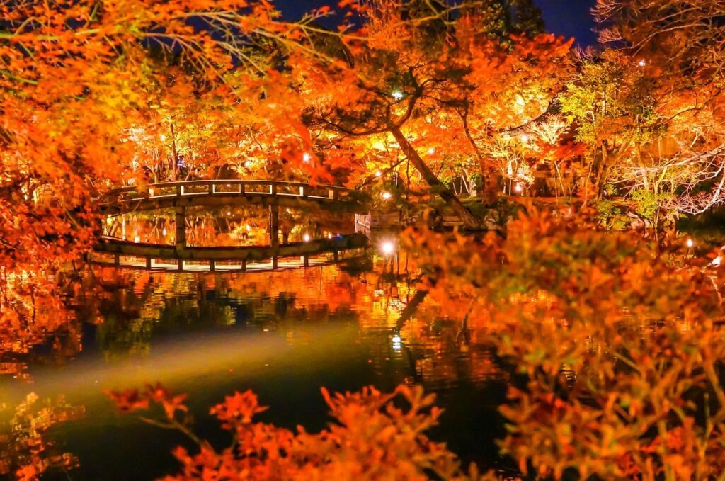 7 địa điểm tuyệt đẹp ngắm lá đỏ về đêm ở Kyoto