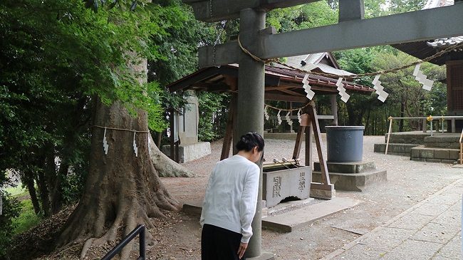 Cúi chào thành kính ở trước cổng Torii. Ảnh: Living in Japan