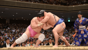 Hướng dẫn luật đấu vật Sumo và cách mua vé xem Sumo