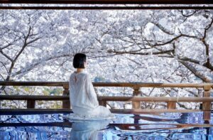 Top 5 điểm ngắm hoa anh đào ở Kansai cho người thích yên tĩnh