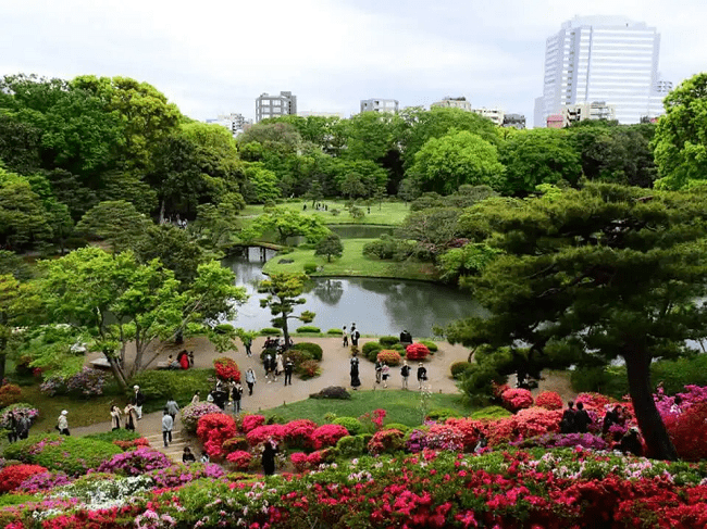 5 khu vườn đẹp nhất Tokyo vào mùa hè - Rikugien