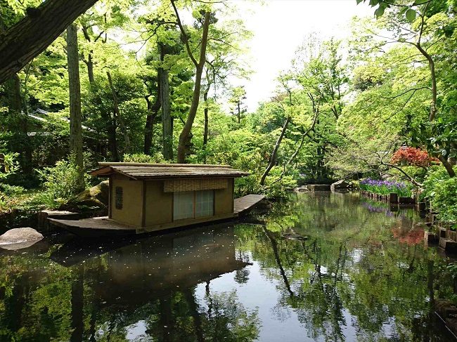 5 khu vườn đẹp nhất Tokyo vào mùa hè - Khu vườn tại Bảo tàng Nezu