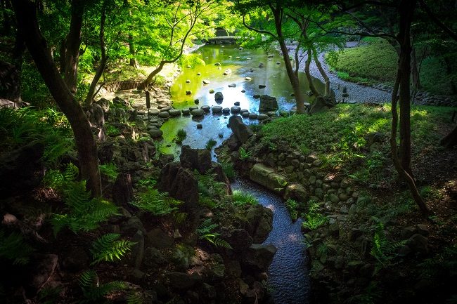 5 khu vườn đẹp nhất Tokyo vào mùa hè - Koishikawa Korakuen
