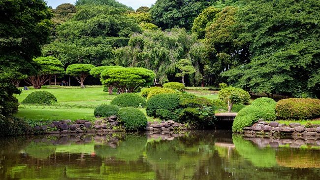 5 khu vườn đẹp nhất Tokyo vào mùa hè - Shinjuku Gyoen