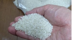 Chính phủ Nhật sẽ hạ giá gạo xuống một nửa từ tháng 6