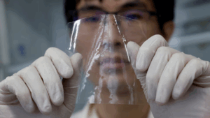 Nhật Bản phát triển nhựa tan trong nước biển sau vài giờ