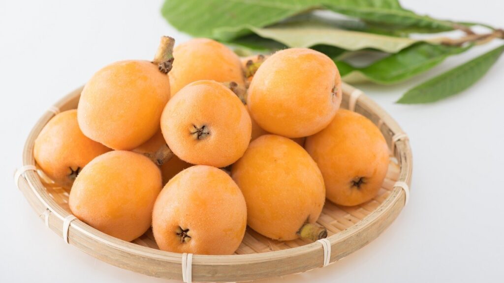 Tận hưởng mùa quả biwa ở Nhật Bản