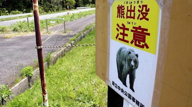 Một biển báo nguy hiểm có thể gặp gấu tại Tohoku. Ảnh: Asia News Network