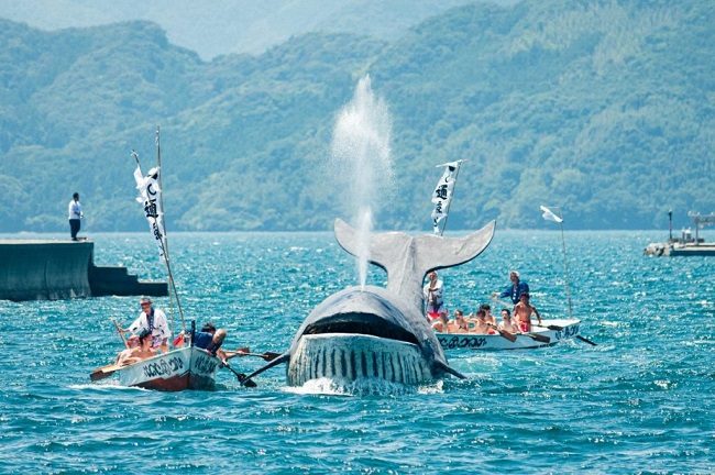 lễ hội cá voi nhật bản - Lễ hội Kayoi Kujira