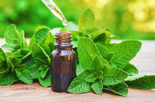 Top 5 món đồ làm mát cơ thể để ‘sống sót’ qua mùa hè Nhật Bản