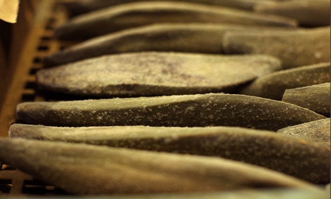 cá ngừ bào Katsuobushi