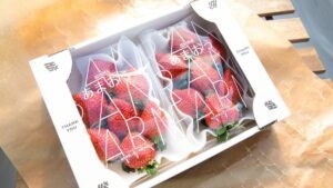 Fukuoka bảo vệ dâu tây Amaou thượng hạng chống nạn đánh cắp ra nước ngoài