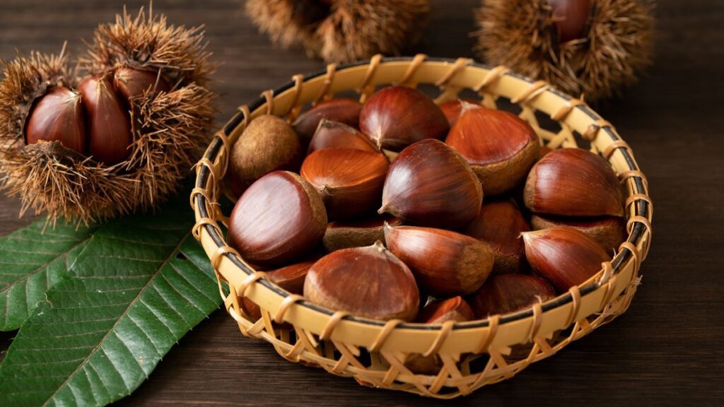 hạt dẻ mùa thu nhật bản
