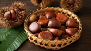 Hạt dẻ – hương vị thơm ngon khó cưỡng của mùa thu Nhật Bản