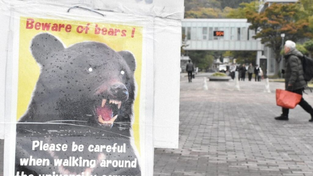 Nhat-Ban-ngam-la-mua-thu