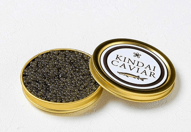 Trứng cá tầm Kindai