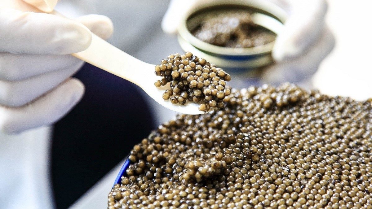 Nhat-Ban-doi-gioi-tinh-ca-tam-duc-cho-san-xuat-trung-ca-tam