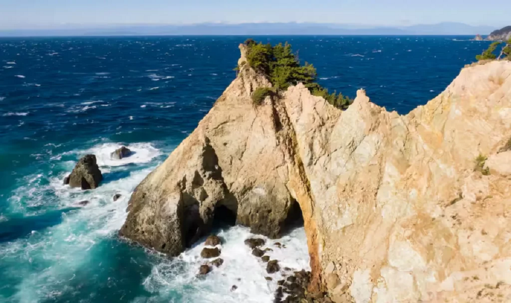 vách đá ngựa may mắn ở Shizuoka vào đầu năm Ngựa