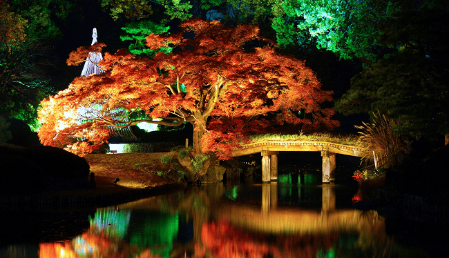 Khung cảnh lá mùa thu vào buổi tối tại vườn Rikugien