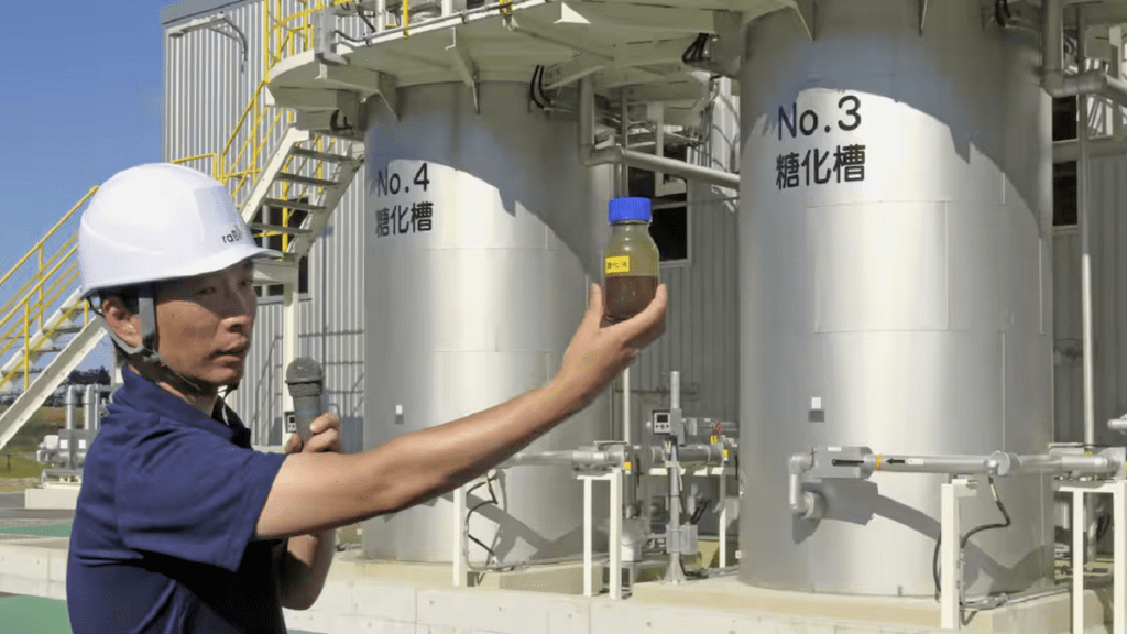 Nguoi-Nhat-san-xuat-nhien-lieu-sinh-hoc-tu-cay-cao-luong