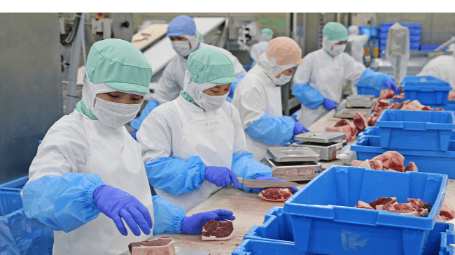 Người lao động tại một xưởng chế biến thịt - Nhật Bản giới hạn tiếp nhận lao động nước ngoài từ 2027