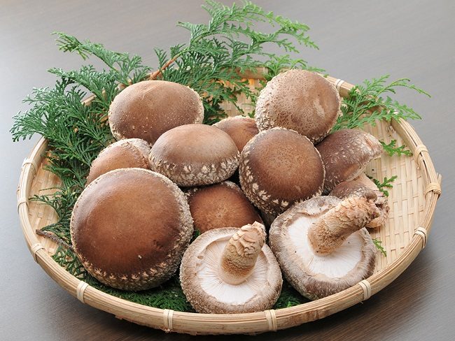 Nấm Shiitake tươi