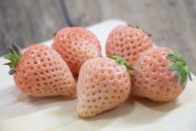 Dâu tây trắng Awayuki