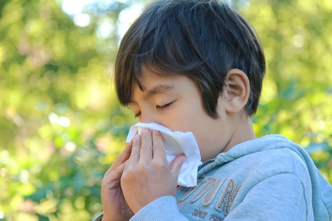 cúm influenza tại nhật bản