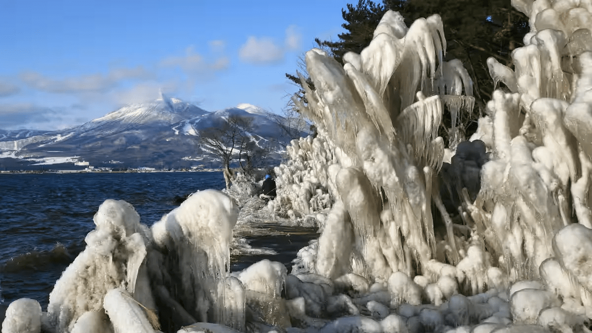 Quai-vat-bang-ho-Inawashiro
