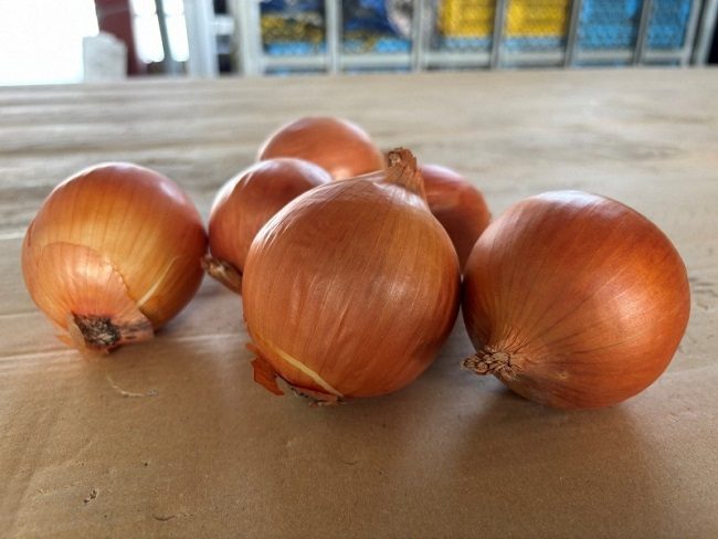 Hành tây Smile Ball