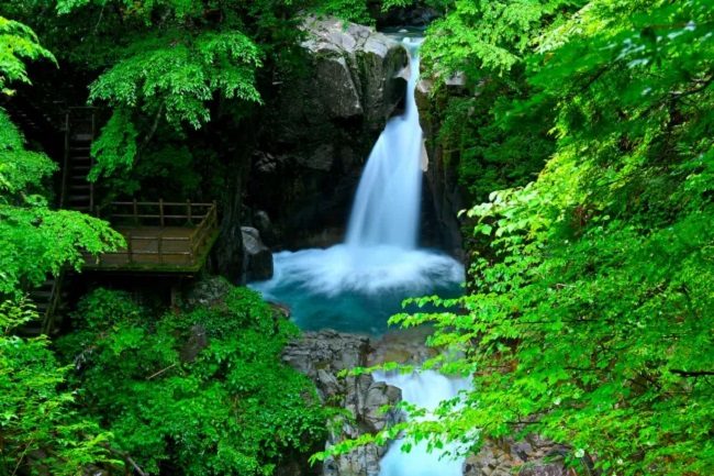 Vẻ đẹp nguyên sơ của Yakushima