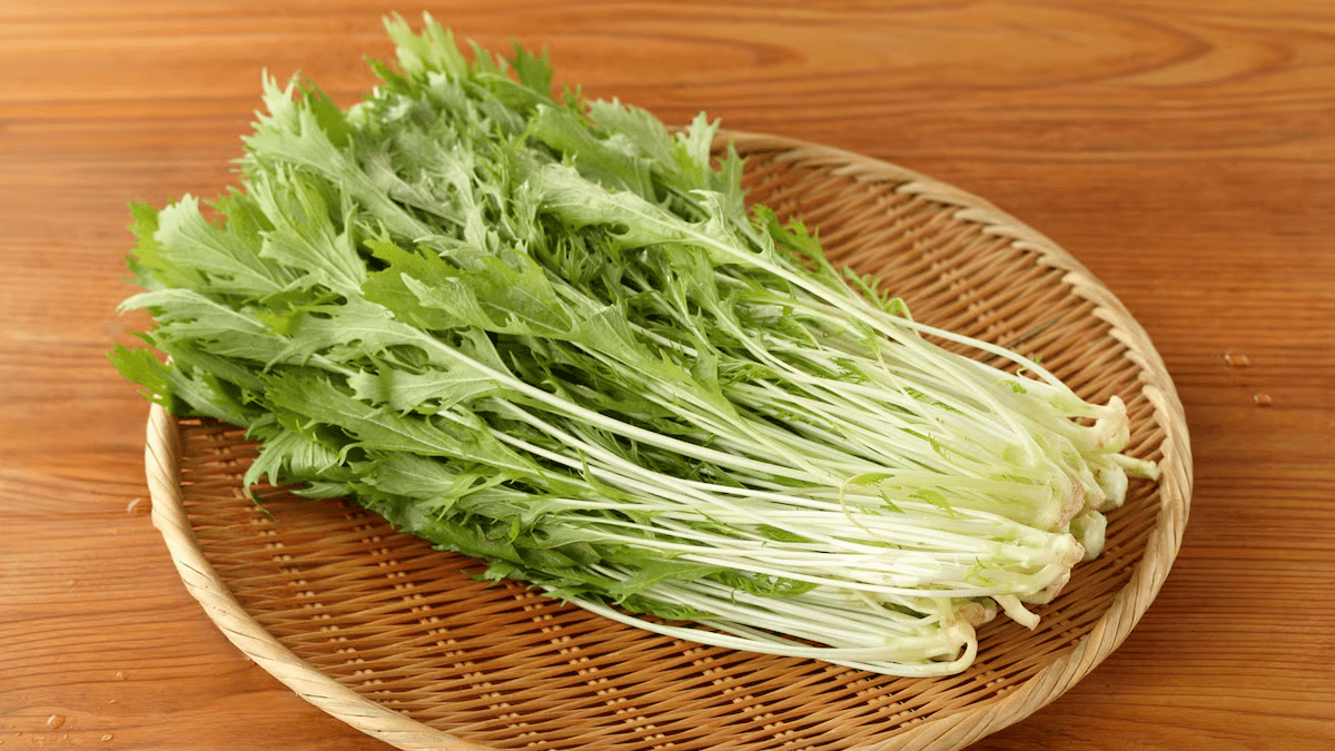Mizuna - rau thanh mát 'cân' mọi phong cách ẩm thực Nhật