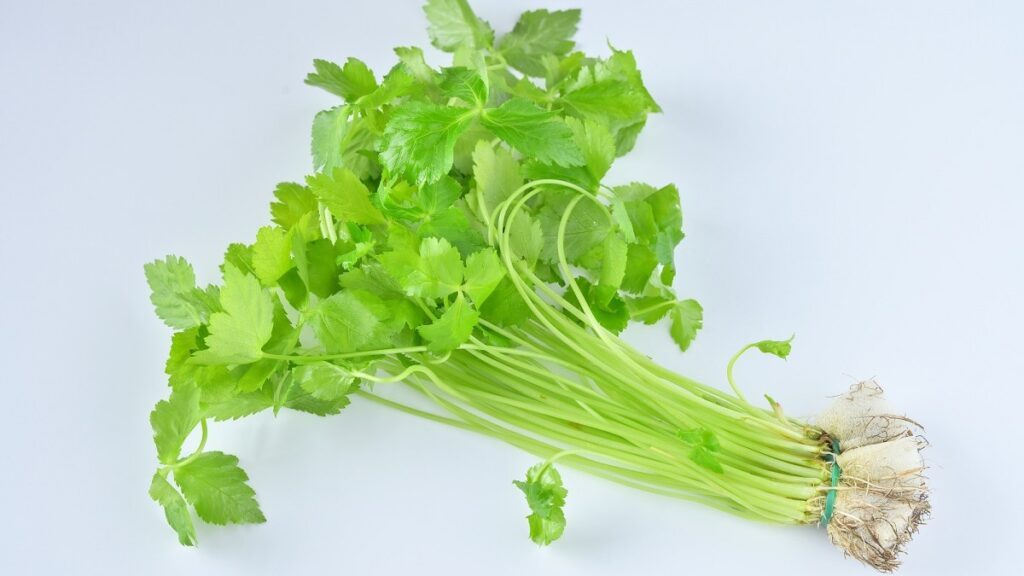Người Nhật dùng lá Mitsuba như thế nào