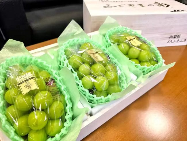 Nho Shine Muscat cũng là giống cây bị đánh cắp sang nước ngoài