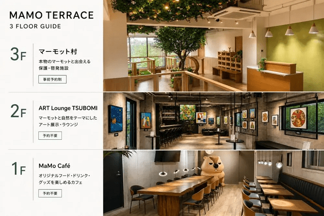 Không gian 3 tầng tại Mamo Terrace