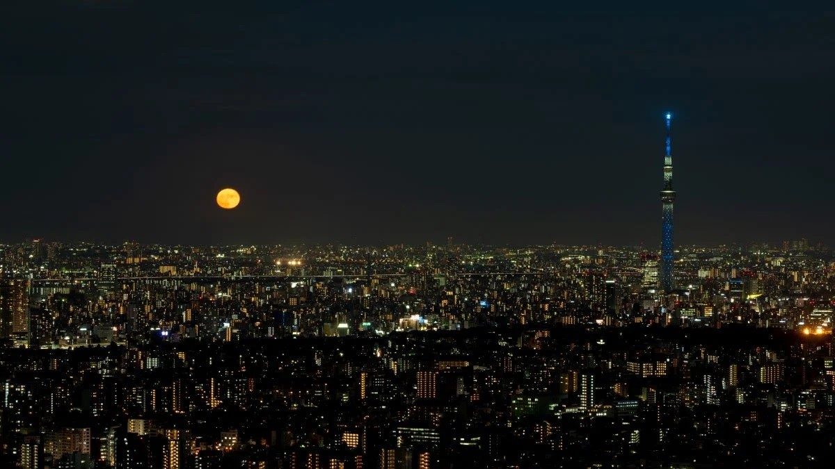 6 địa điểm ngắm trăng tuyệt tác giữa bầu trời Tokyo 3
