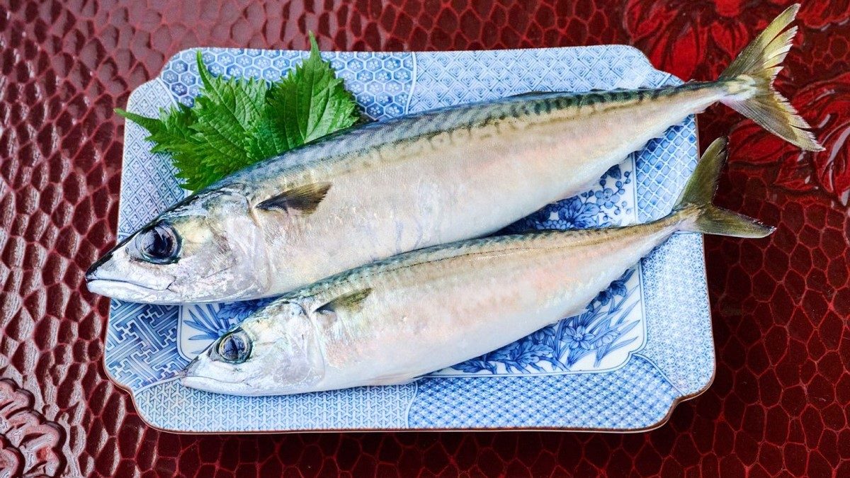 Giá cá thu tăng 3 lần đe dọa sức mua của người tiêu dùng Nhật