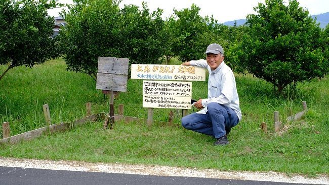 Ông Jo Kenji bên vườn cây cam Yamato Tachibana