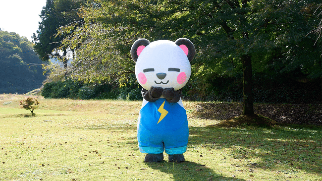 Gấu trúc Sakai Thunder